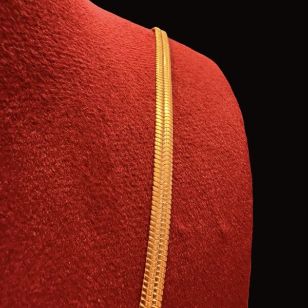 1 Gram Gold Snake Chain | The Kada Hub|